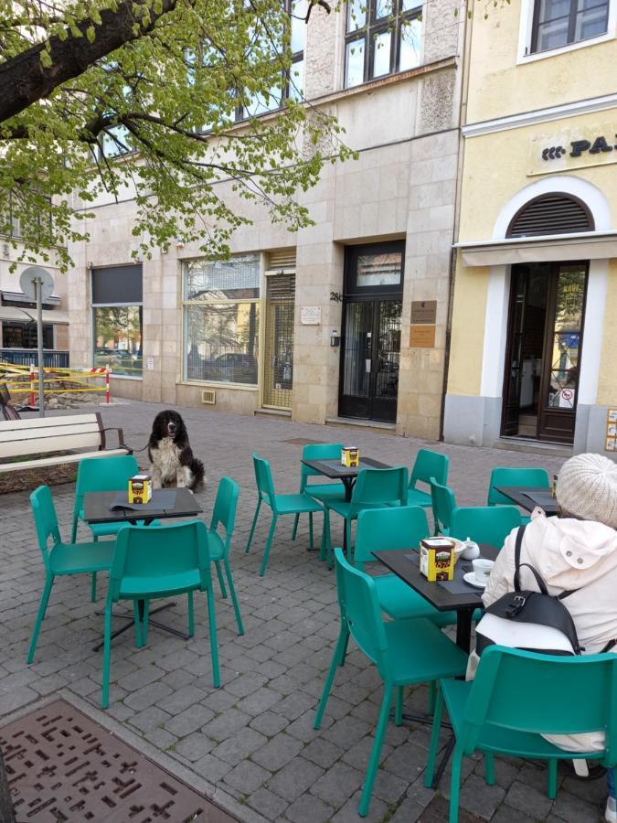 Aha Lägenhet Debrecen Exteriör bild